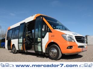 пассажирский микроавтобус Mercedes-Benz Sprinter City 65