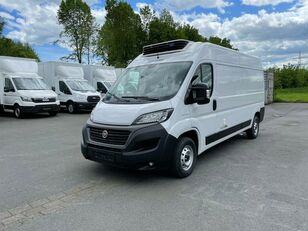 новый микроавтобус рефрижератор FIAT  Ducato L3H2 Hűtős furgon Carrier Xarios 300 GH