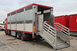 скотовоз DAF BDF, ANIMAL/TIER TRANSPORTATION