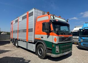 скотовоз Volvo FM 380