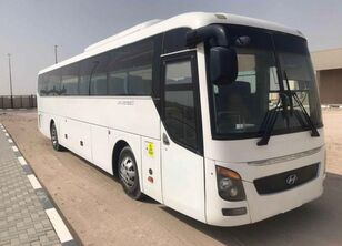 туристический автобус Hyundai AC luxury
